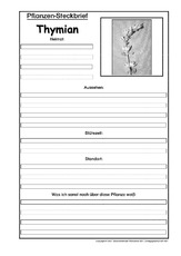 Pflanzensteckbrief-Thymian-SW.pdf